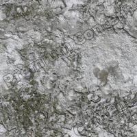 photo texture of wall plaster seamless 0013